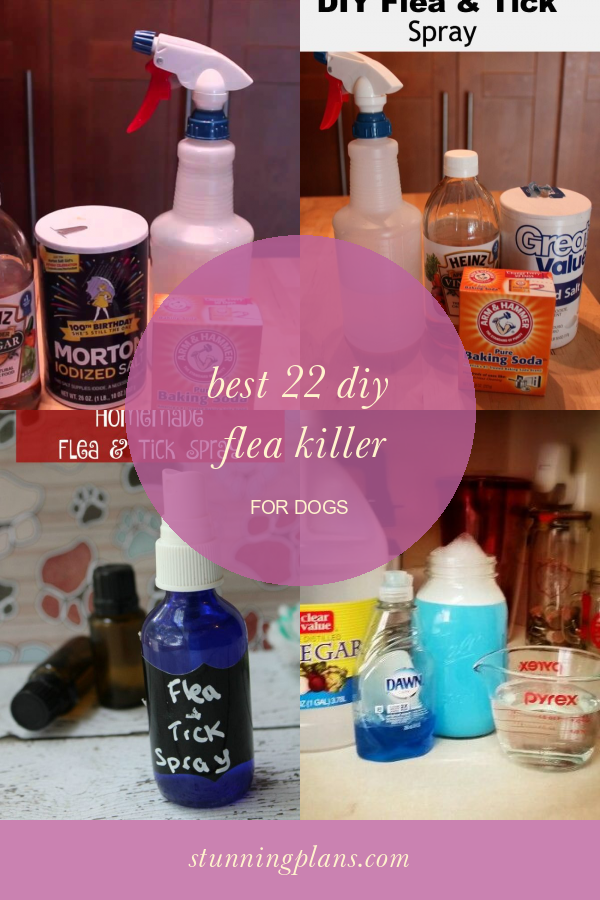 make your own flea and tick repellent for dogs